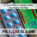 À Quoi Sert La Gelée Orale Kamagra 100 Mg new03